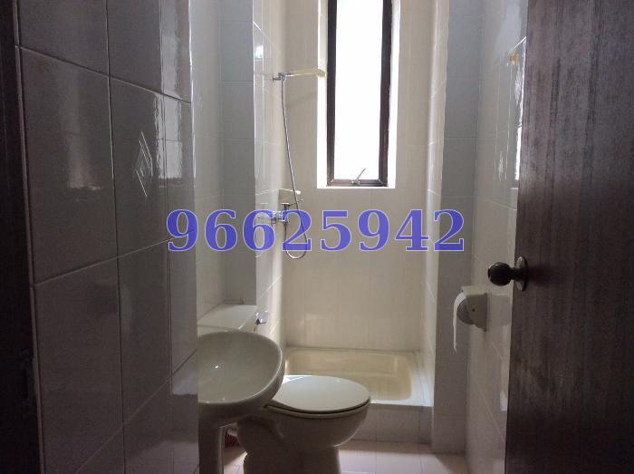 Balestier Regency (D12), Apartment #66878932